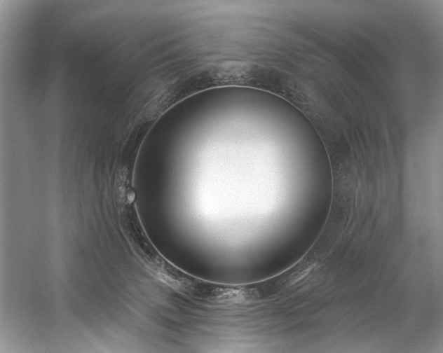 X0000059100083200510071155