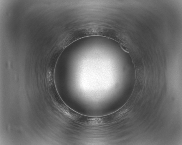 X0000059100087200510071155