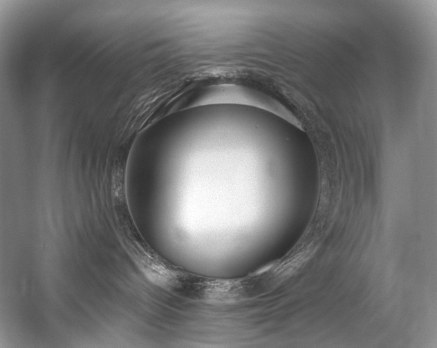 X0000059100096200510071155