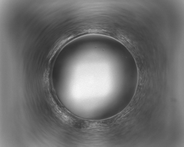 X0000059100098200510071155