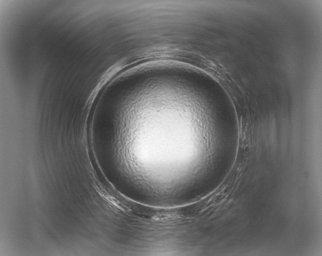 X0000059100099200510071155
