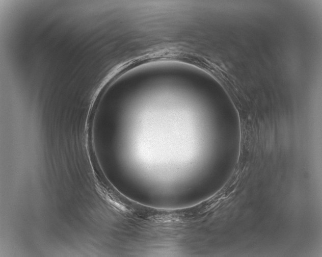 X0000059100100200510071155
