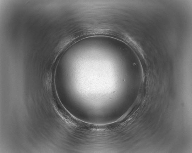 X0000059100107200510071154