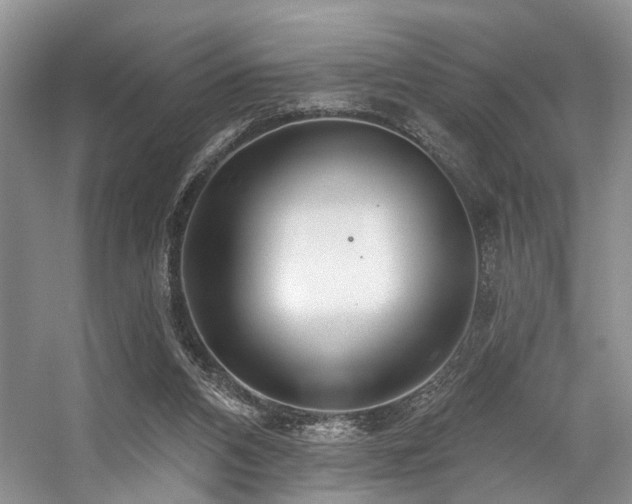 X0000059100112200510071154