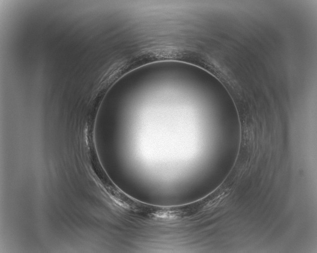 X0000059100117200510071154