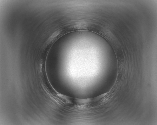 X0000059100120200510071154
