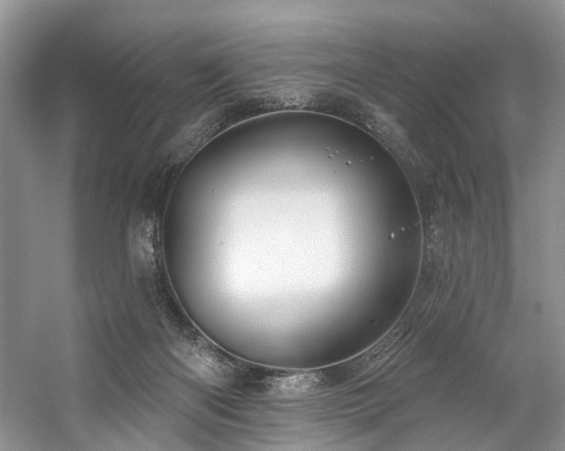 X0000059100122200510071154