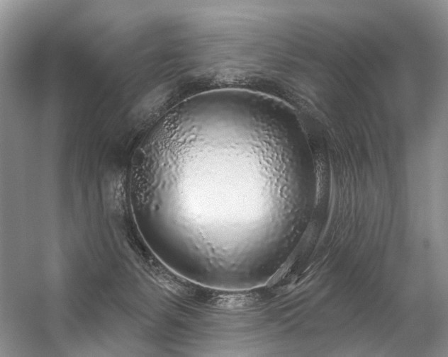 X0000059100127200510071154