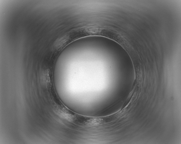 X0000059100128200510071154