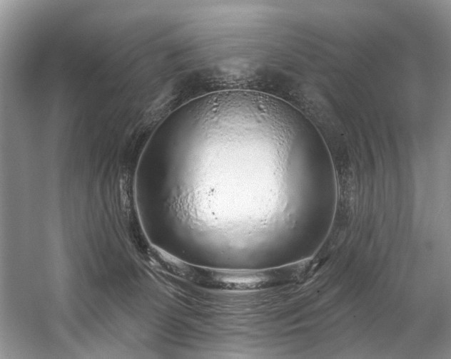 X0000059100131200510071154