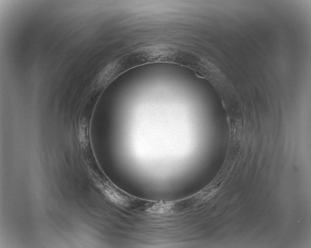 X0000059100138200510071154