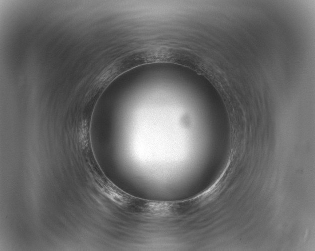 X0000059100144200510071154