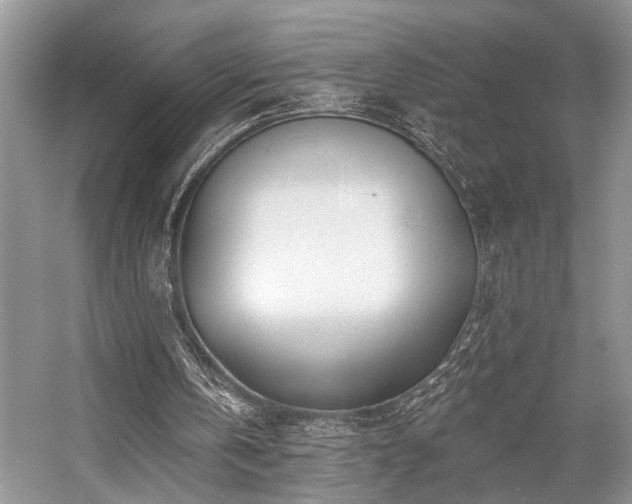 X0000059100146200510071153