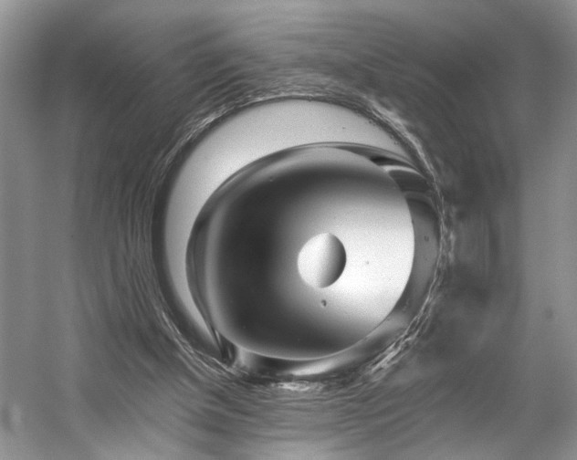 X0000059100154200510071153