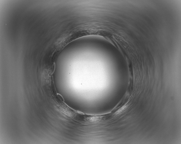 X0000059100184200510071154