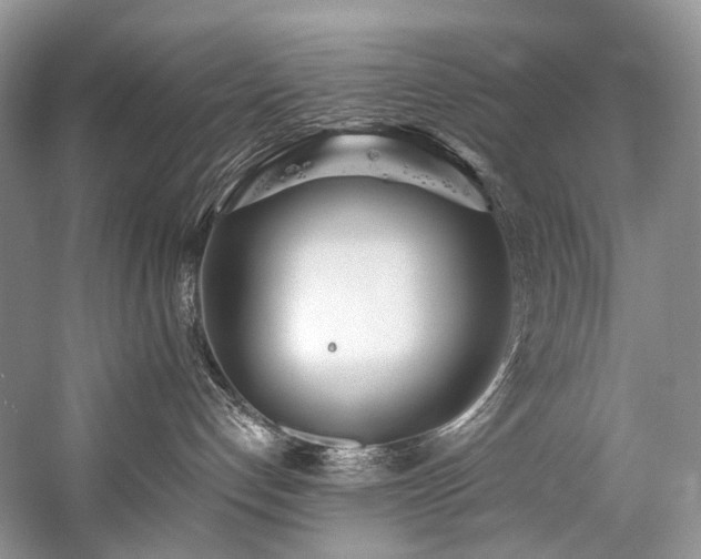 X0000059100192200510071154