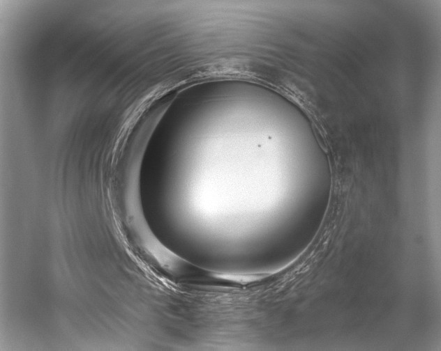 X0000059100193200510071153