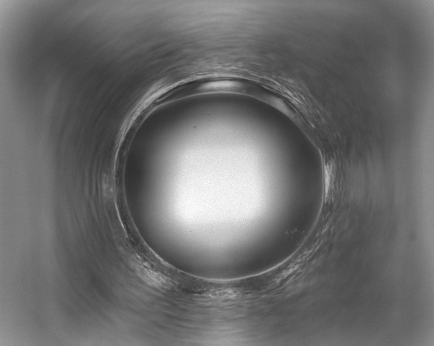 X0000059100195200510071153