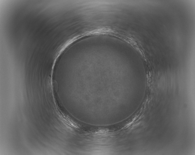 X0000059100196200510071153