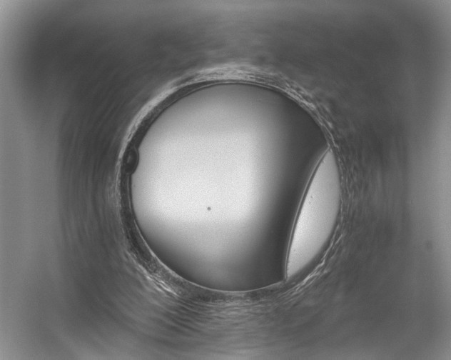 X0000059100200200510071153