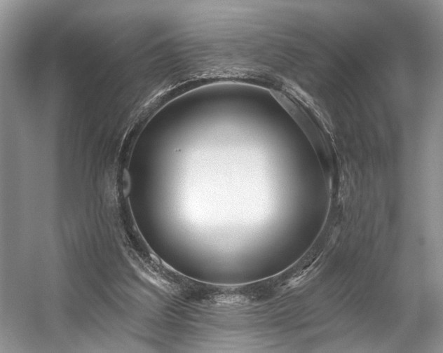 X0000059100203200510071153