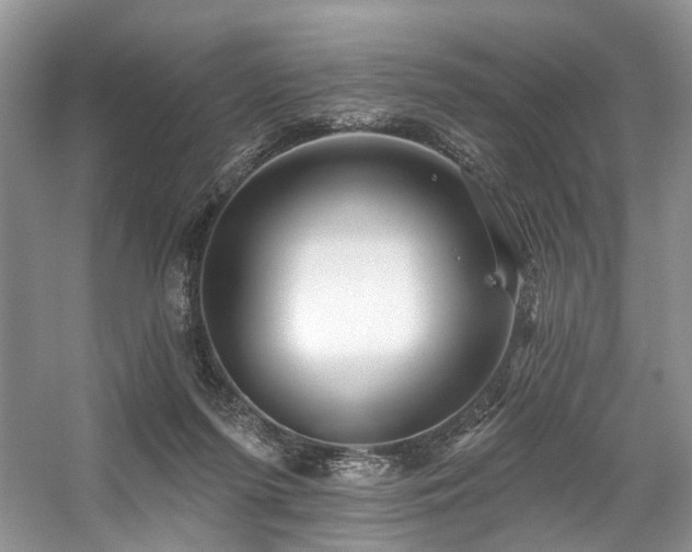 X0000059100215200510071153