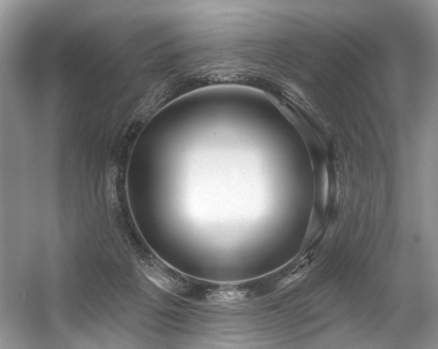 X0000059100217200510071153