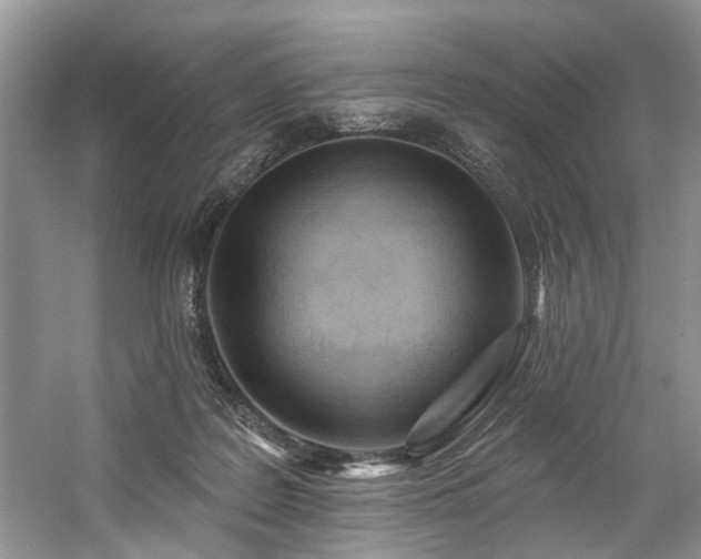 X0000059100219200510071153