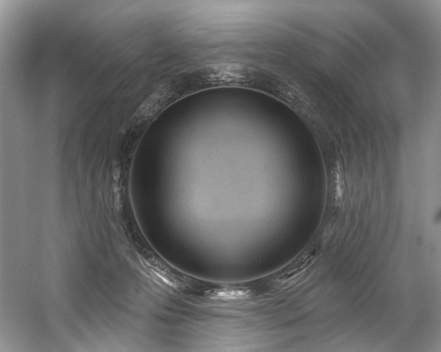 X0000059100223200510071153