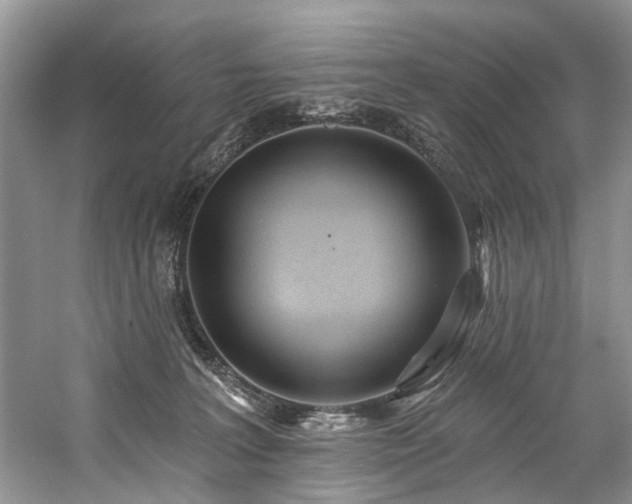 X0000059100227200510071152