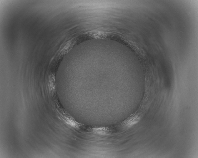 X0000059100240200510071152