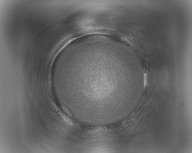 X0000059100243200510071151