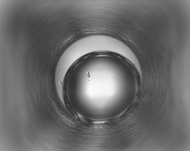 X0000059100264200510071152