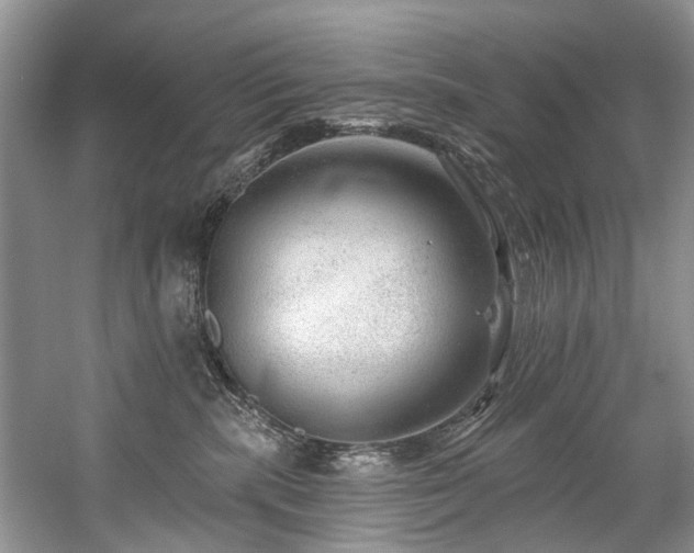 X0000059100283200510071152
