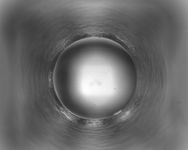 X0000059100288200510071152