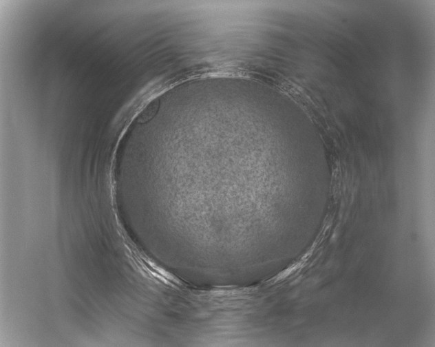 X0000059100290200510071151