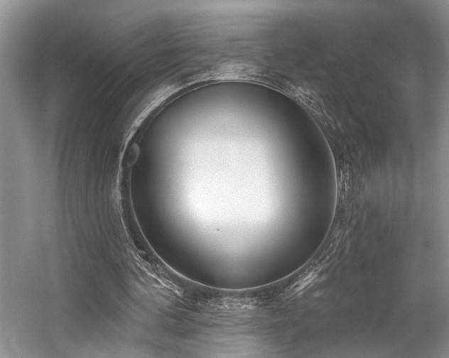 X0000059100292200510071151