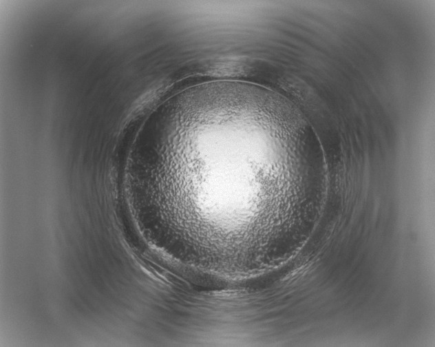 X0000059100303200510071151