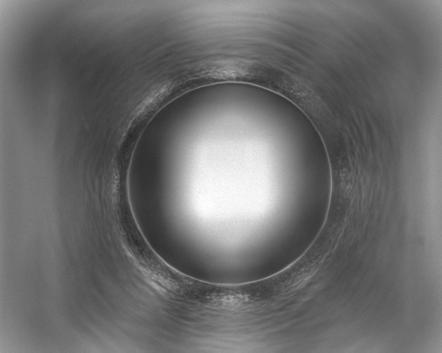 X0000059100304200510071151