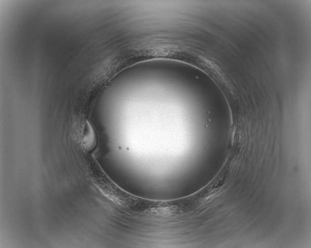 X0000059100307200510071151