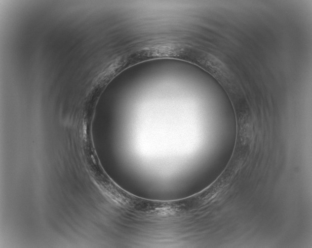 X0000059100310200510071151