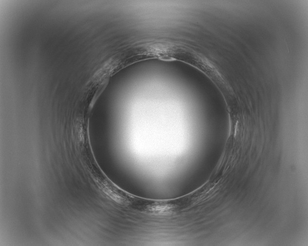 X0000059100313200510071151