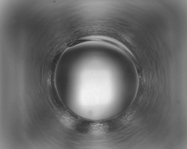 X0000059100315200510071151