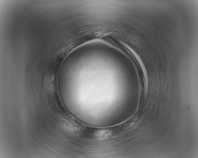 X0000059100319200510071151
