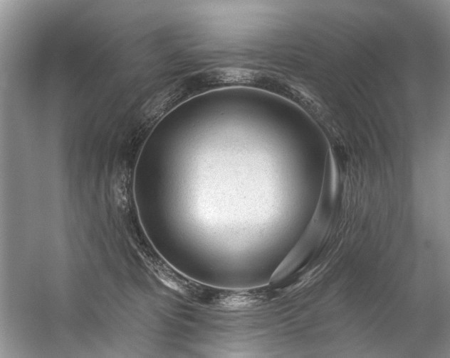 X0000059100325200510071151