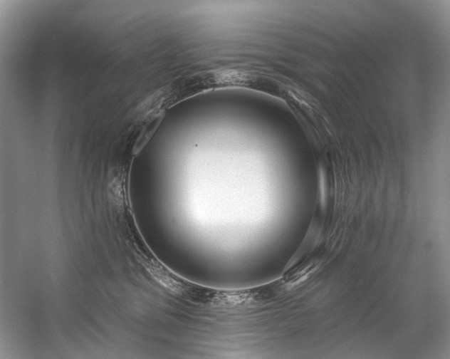 X0000059100329200510071151
