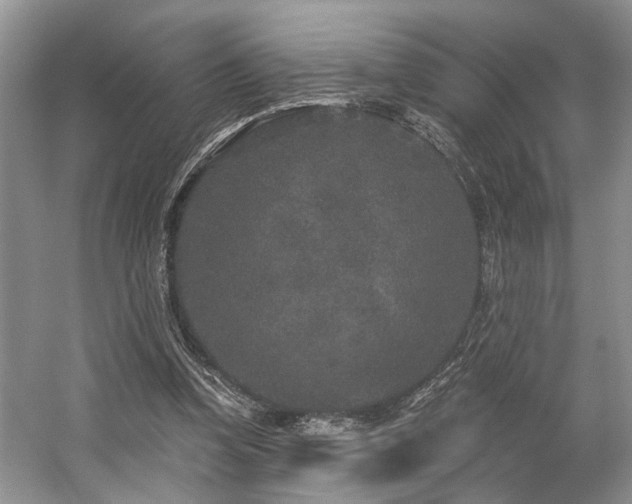 X0000059100346200510071150