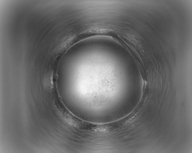 X0000059100358200510071150