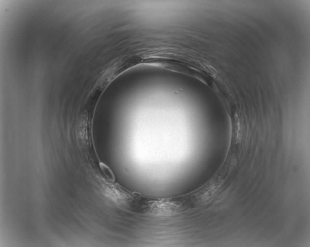 X0000059100379200510071150
