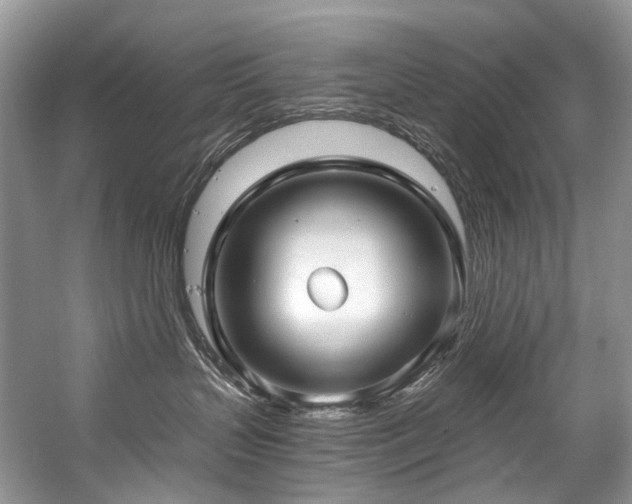 X0000059100383200510071151